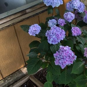 OFFER-SAVINGS!! Closet Makeover Sale!